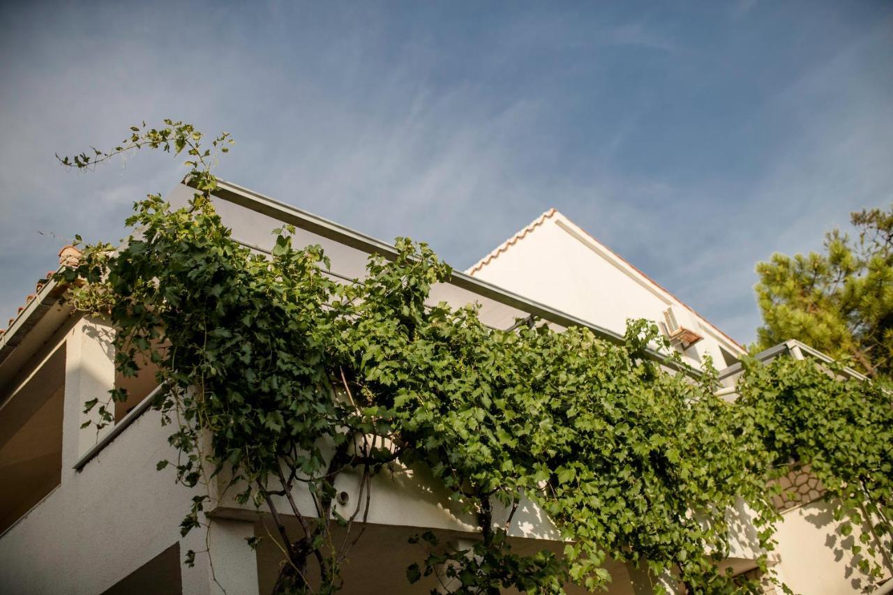 Guesthouse Sime Kolan Εξωτερικό φωτογραφία